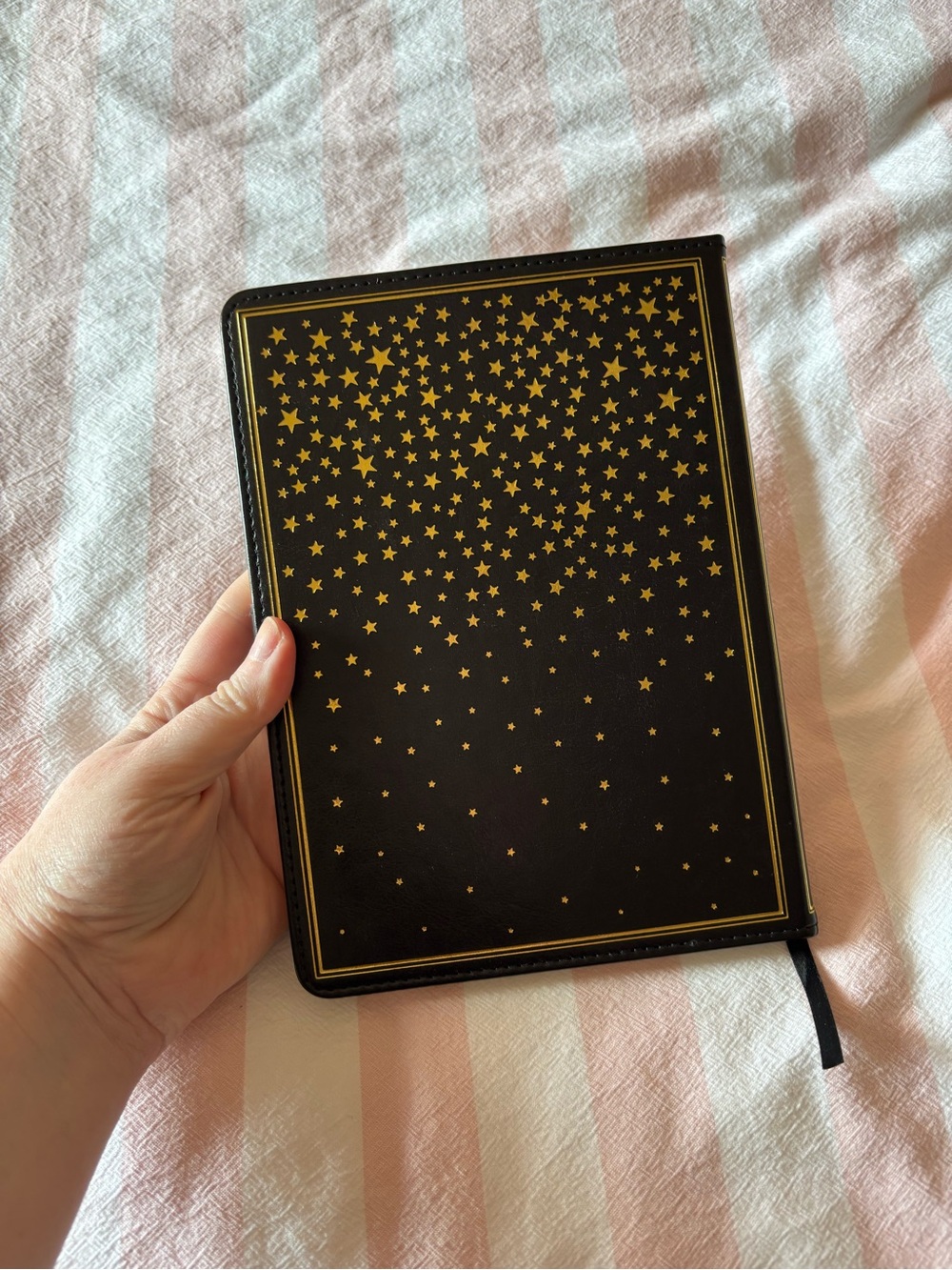 Taylor Swift Fearless Notebook - Picture 2 of 6